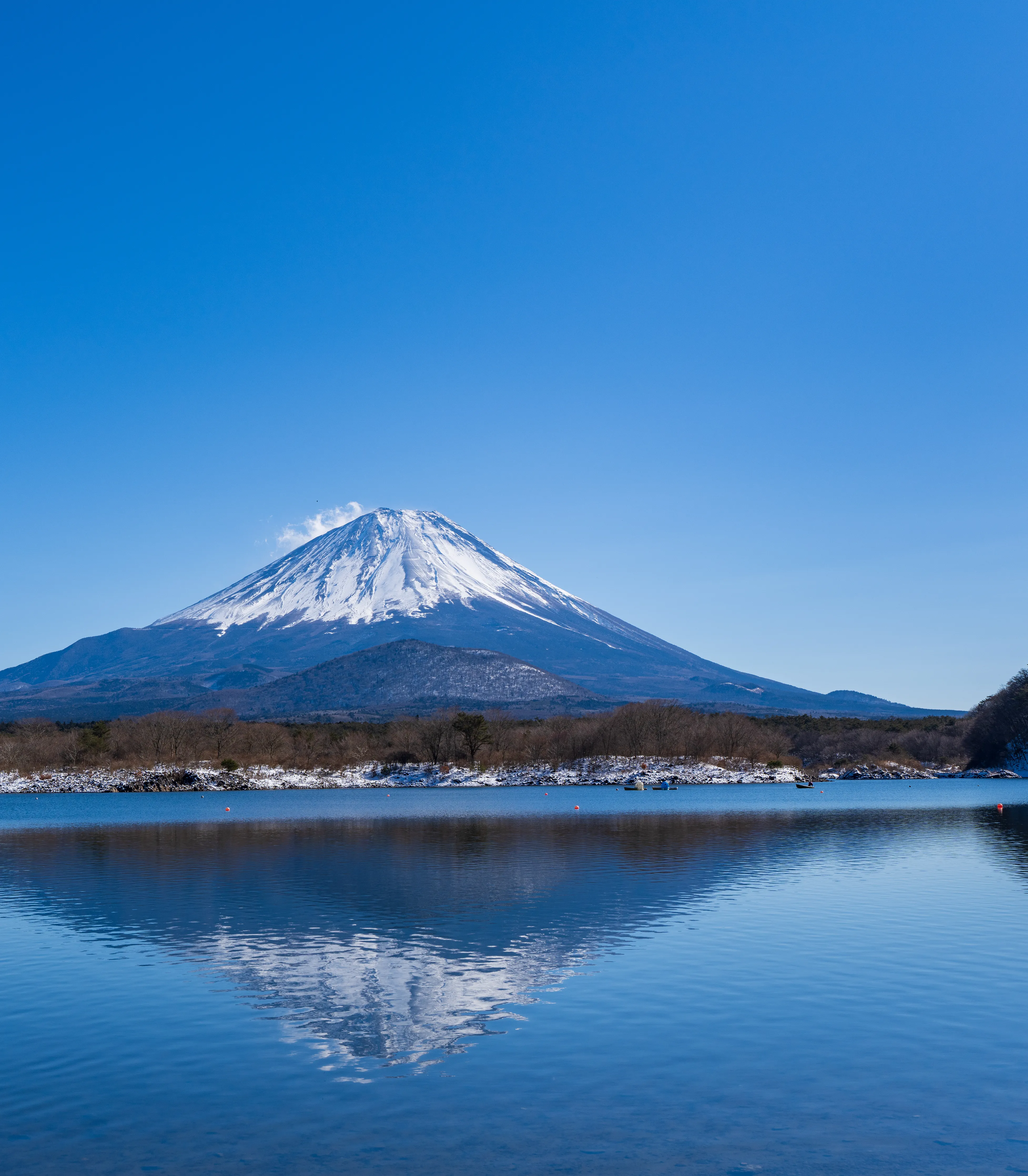 静かな水辺の風景